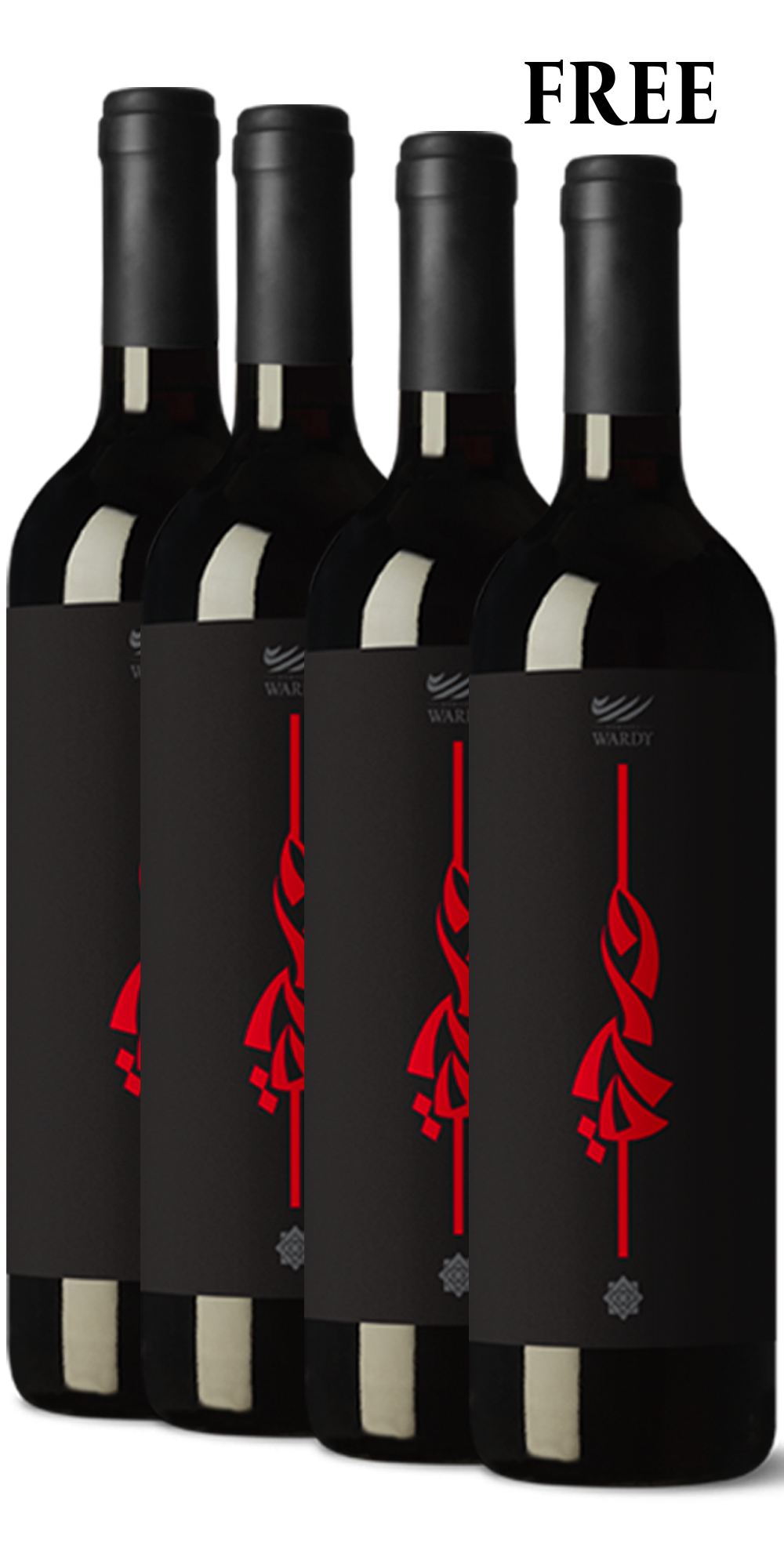 <b>Beqaa Valley Red 2020<br></b><small>Summer 2026 (Buy 3 Get 1 FREE) 750ml (Special)</small>